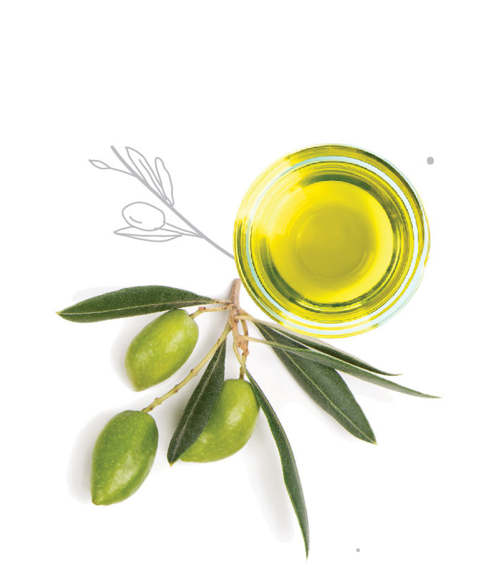 Масло жожоба витамины. Olea europaea Olive Fruit Oil. Argan & Olive Oil сыворотка. Масло оливы, жожоба оливы. Оливковое масло в косметике.
